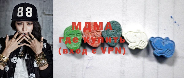 индика Новозыбков