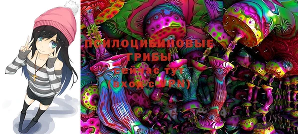 экстази Гусь-Хрустальный