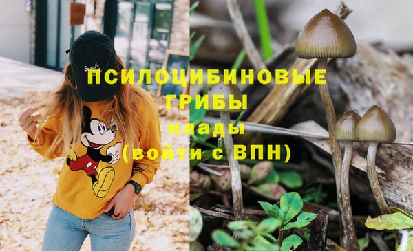бошки Гусев