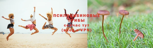 экстази Гусь-Хрустальный