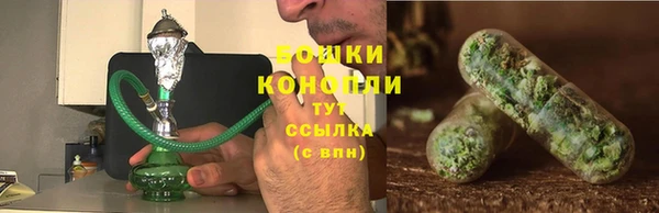 бошки Гусев