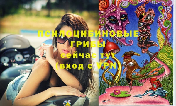 PSILOCYBIN Гусиноозёрск