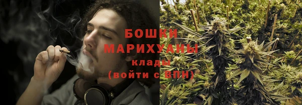 экстази Гусь-Хрустальный