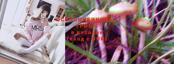PSILOCYBIN Гусиноозёрск