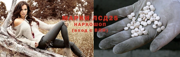 PSILOCYBIN Гусиноозёрск